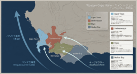 南アフリカワインの主要産地まとめ！冷涼な気候と南アフリカの大地が育む最高峰のテロワールの違いとは